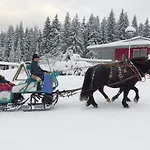 Waldhotel Rennsteighoehe Lejlighedshotel 3*