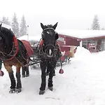 Waldhotel Rennsteighoehe Lejlighedshotel Frauenwald