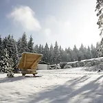Апарт-отель Waldhotel Rennsteighoehe 3*