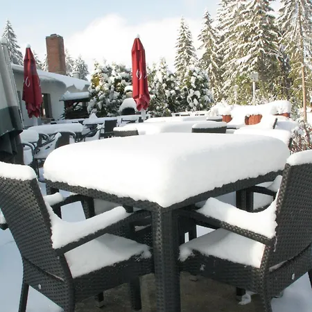 Waldhotel Rennsteighoehe Ξενοδοχείο με διαμερίσματα Frauenwald