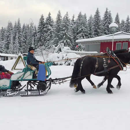 Waldhotel Rennsteighöhe Aparthotel 3*