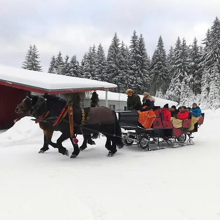 Aparthotel Waldhotel Rennsteighöhe Frauenwald
