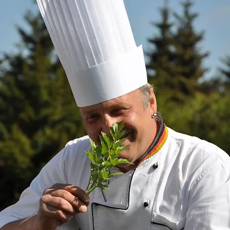 Waldhotel Rennsteighoehe 3*