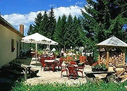 Waldhotel Rennsteighoehe 3*