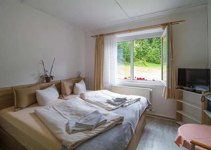 Waldhotel Rennsteighöhe Frauenwald