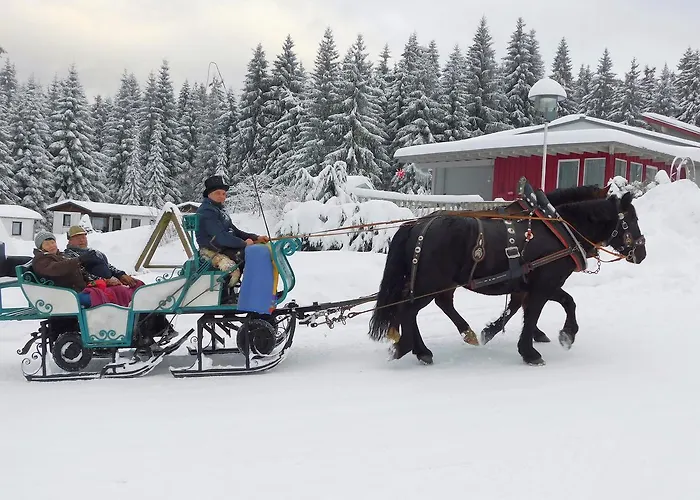Waldhotel Rennsteighöhe Aparthotel 3*
