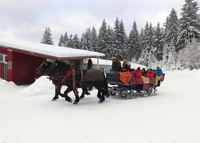 Apartmanhotel Waldhotel Rennsteighoehe Frauenwald