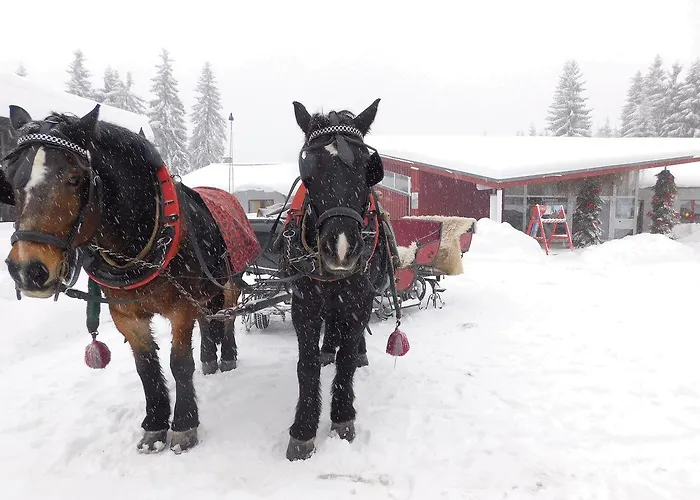 Waldhotel Rennsteighöhe Aparthotel Frauenwald