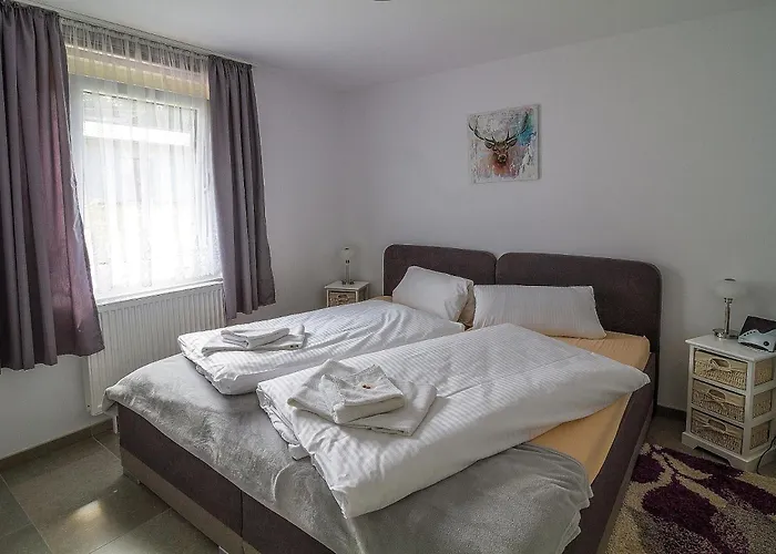 Waldhotel Rennsteighöhe Aparthotel Frauenwald